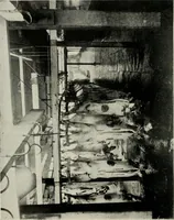An illustration from Ireland; industrial and agricultural (1902)