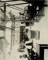 Picture 51 of 163 from Ireland; industrial and agricultural (1902), leaf 314