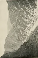 Picture 8 of 163 from Ireland; industrial and agricultural (1902), leaf 32
