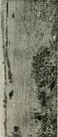 An illustration from Ireland; industrial and agricultural (1902)