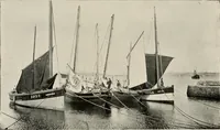 Picture 60 of 163 from Ireland; industrial and agricultural (1902), leaf 336