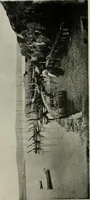 An illustration from Ireland; industrial and agricultural (1902)