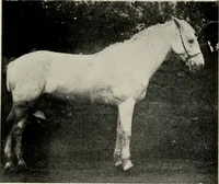 An illustration from Ireland; industrial and agricultural (1902)