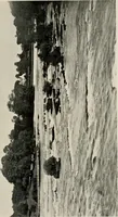 Picture 105 of 163 from Ireland; industrial and agricultural (1902), leaf 496