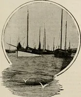 An illustration from Ireland; industrial and agricultural (1902)