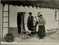 Picture 110 of 163 from Ireland; industrial and agricultural (1902), leaf 504