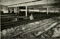Picture 154 of 163 from Ireland; industrial and agricultural (1902), leaf 610