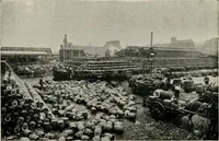 Picture 155 of 163 from Ireland; industrial and agricultural (1902), leaf 611