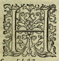 An illustration from Irene, ouero, Della bellezza (1604)