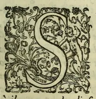 An illustration from Irene, ouero, Della bellezza (1604)