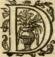 Picture 33 of 45 from Irenicum amatoribus veritatis et pacis in Ecclesia Scoticana (1629), leaf 142