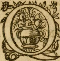 An illustration from Irenicum amatoribus veritatis et pacis in Ecclesia Scoticana (1629)