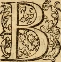 An illustration from Irenicum amatoribus veritatis et pacis in Ecclesia Scoticana (1629)