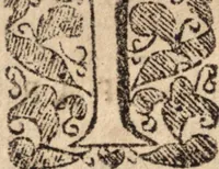 An illustration from Irenicum, a weapon-salve for the churches wounds; or, The divine right of particular forms of church-government ... with an appendix concerning the power of excommunication in a Christian church (1662)