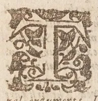 An illustration from Irenicum. A weapon-salve for the Churches wounds, or The divine right of particular forms of church-government: discuss'd and examin'd according to the principles of the law of nature, the positive laws of God, the practice of the apostles, and the primitive Church, & the judgment of reform'd divines. Whereby a foundation is laid for the Churches peace, and the accommodation of our present differences (1662)