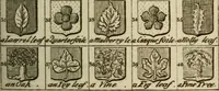 An illustration from The Irish compendium; or, Rudiments of honour. Containing the descents, marriages, issue, titles, posts, and seats of all the nobility of Ireland; with their arms, crests, supporters, mottos and Parliament robes ... Also a supplement, shewing the antiquity, dignity, and use of armories .. (1745)