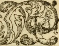 An illustration from The Irish compendium; or, Rudiments of honour. Containing the descents, marriages, issue, titles, posts, and seats of all the nobility of Ireland; with their arms, crests, supporters, mottos and Parliament robes ... Also a supplement, shewing the antiquity, dignity, and use of armories .. (1745)