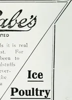Picture 74 of 95 from Irish life and landscape (1900), leaf 159
