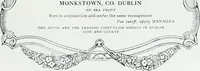 Picture 78 of 95 from Irish life and landscape (1900), leaf 162