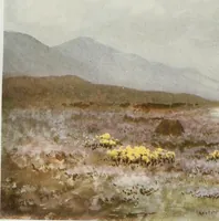 An illustration from Irish life and landscape (1900)