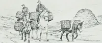 An illustration from Irish life and landscape (1900)