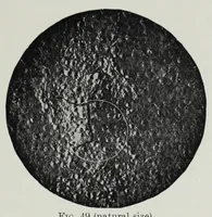 An illustration from Iron corrosion : anti-fouling and anti-corrosive paints (1900)