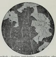 An illustration from Iron corrosion : anti-fouling and anti-corrosive paints (1900)