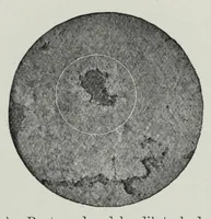 An illustration from Iron corrosion : anti-fouling and anti-corrosive paints (1900)