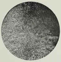 An illustration from Iron corrosion : anti-fouling and anti-corrosive paints (1900)