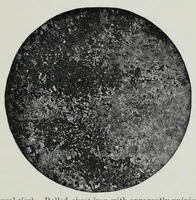 An illustration from Iron corrosion : anti-fouling and anti-corrosive paints (1900)