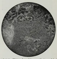 An illustration from Iron corrosion : anti-fouling and anti-corrosive paints (1900)