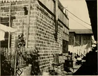 An illustration from Irrigation and religion; a study of religious and social conditions in two California counties (1922)