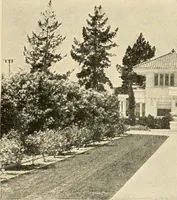 An illustration from Irrigation and religion; a study of religious and social conditions in two California counties (1922)