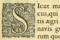 An illustration from Isbrandi de Diemerbroeck ... Tractatus de peste, in quatuor libros distinctus : truculentissimi morbi historiam ratione & experientiâ confirmatam exhibens (1665)