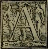 Picture 9 of 19 from I sette salmi penitentiali del santissimo profeta Dauit : tradotti in lingua toscana, da madonna Lavra Battiferra degl'Ammannati ; con gli argomenti sopra ciascuno di essi, composti dalla medesima ; insiemi con alcuni suoi sonetti spirituali (1566), leaf 20