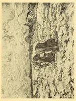 An illustration from Is it art? post-impressionism, futurism, cubism (1913)