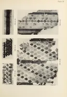 An illustration from Islamische Stoffe aus ägyptischen Gräbern in der Islamischen Kunstabteilung und in der Stoffsammlung des Schlossmuseums (1927)