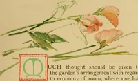 Picture 11 of 19 from An island garden (1894), leaf 108