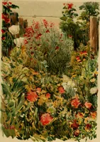 An illustration from An island garden (1894)
