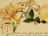 An illustration from An island garden (1894)