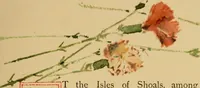 Picture 2 of 19 from An island garden (1894), leaf 14