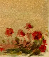 An illustration from An island garden (1894)