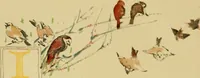 An illustration from An island garden (1894)
