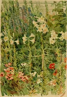 An illustration from An island garden (1894)