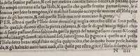 An illustration from Isolario di Benedetto Bordone nel qual si ragiona di tutte l'isole del mondo, con li lor nomi antichi & moderni, historie, fauole, & modi del loro viuere, & in qual parte del mare stanno, & in qual parallelo & clima giaciono (1547)