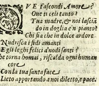 An illustration from I sospetti : comedia (1603)