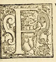 An illustration from Istoria ò breuissima relatione della distruttione dell' Indie Occidentali (1630)