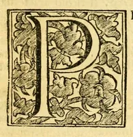 An illustration from Istoria della città d'Avignone, e del Contado Venesino stati della sede apostolica nella Gallia : co'lumi di molte principali materie dell' istoria uniuersale ecclesiastica (1678)