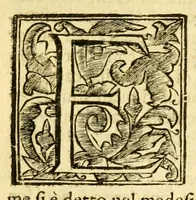 An illustration from Istoria della città d'Avignone, e del Contado Venesino stati della sede apostolica nella Gallia : co'lumi di molte principali materie dell' istoria uniuersale ecclesiastica (1678)
