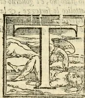 Picture 22 of 30 from Istoria de' suoi tempi di Giovambatista Adriani : gentilhumo fiorentino. Diuisa in libri ventidue. Di nuovo mandata in luce. Con li sommarii, e tavola, e le postille in margine delle cose più notabili, che in esse istorie si contengono (1587), leaf 1049